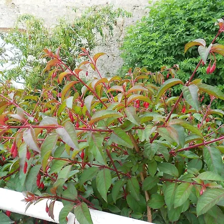 Ferme Manoir La Fiere 3*