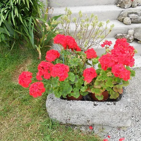 Ferme Manoir La Fiere Bed & Breakfast