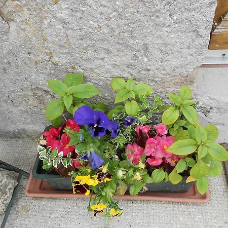 Ferme Manoir La Fiere Bed & Breakfast Sainte-Mere-Eglise