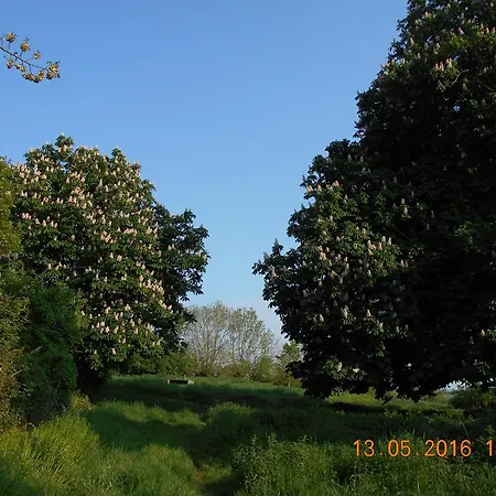 フェーム マノワー ラ フィエ Sainte-Mère-Église