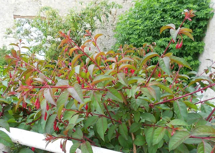 Ferme Manoir La Fiere 3*