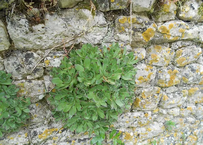 Ferme Manoir La Fiere 3*