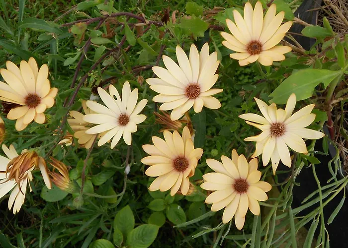 Ferme Manoir La Fiere Bed & Breakfast 3*