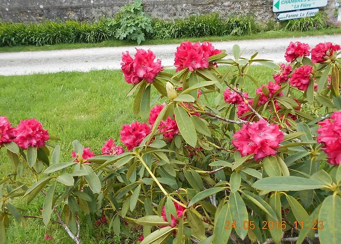 Bed & Breakfast Ferme Manoir La Fiere