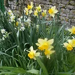 לינה וארוחת בוקר Ferme Manoir La Fiere Sainte-Mère-Église