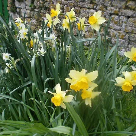 B&B Ferme Manoir La Fiere Sainte-Mère-Église