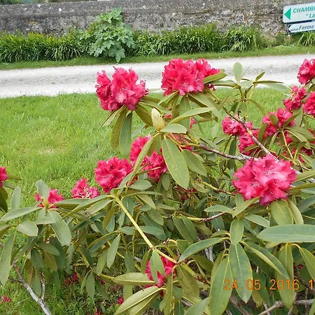 B&B Ferme Manoir La Fiere