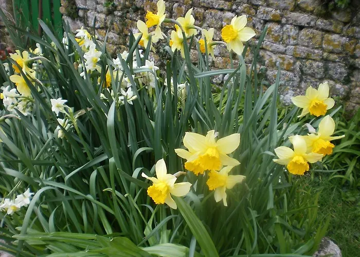 Frühstückspension Ferme Manoir La Fiere Sainte-Mère-Église